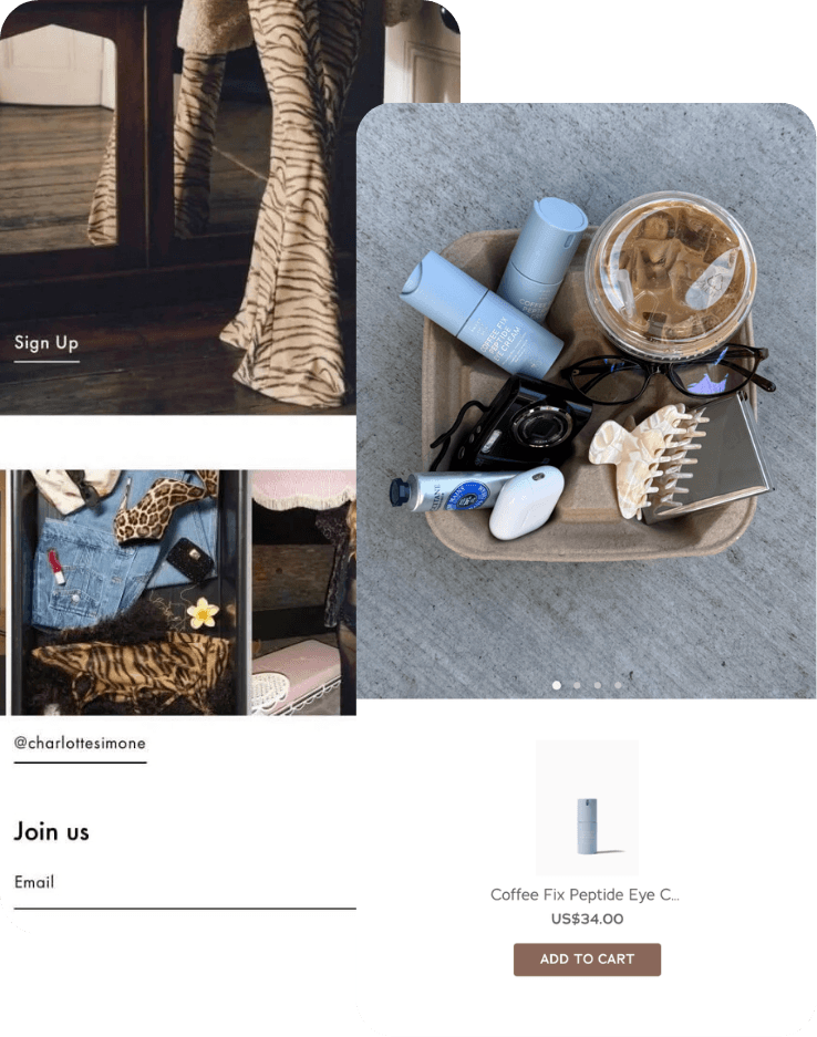Mintt Studio shoppable Instagram feed showcase